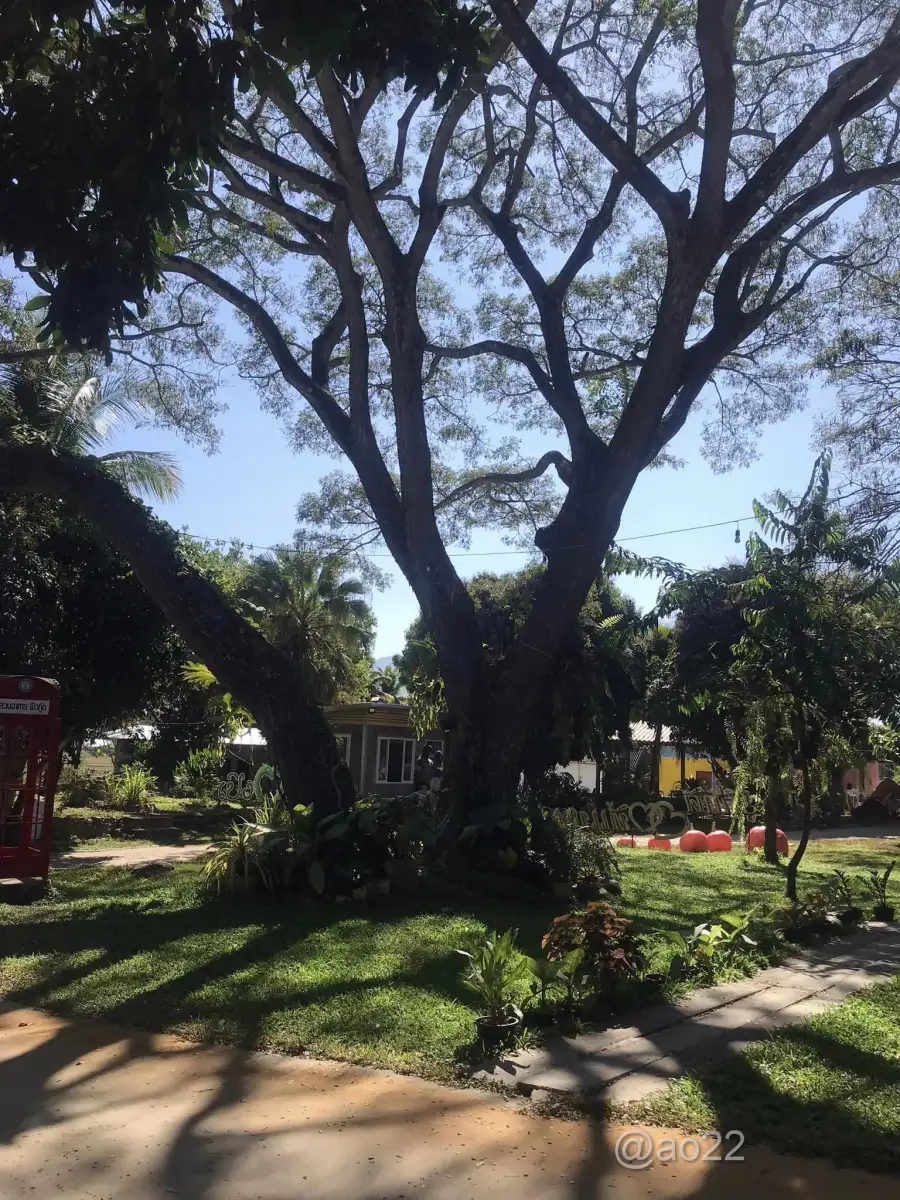 Image 12